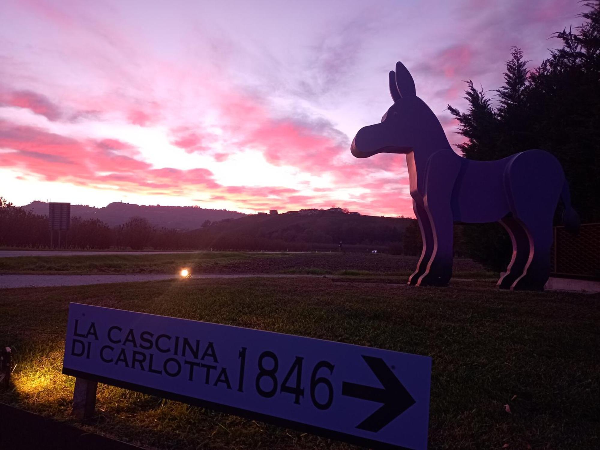 La Cascina Di Carlotta 1846 Agriturismo Альба Екстер'єр фото